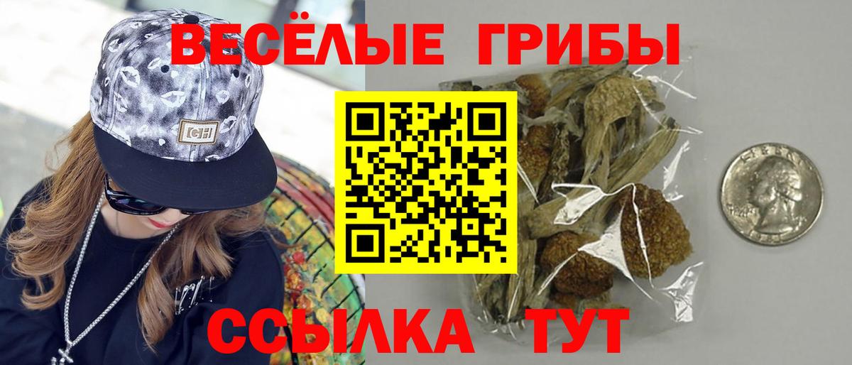 Славянск-на-Кубани  Псилоцибиновые грибы GOLDEN TEACHER  Вход с VPN 